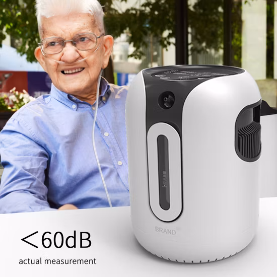 Concentrador de oxígeno portátil médico Psa 20-60lpm